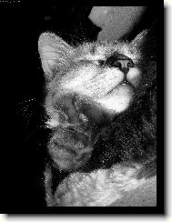 To se mi kr�sn� spink�