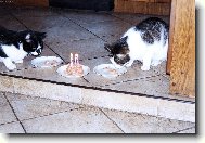 V�echno nejlep��