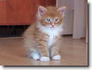 Jsem malej, ale �ikovnej