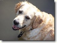 ��astn� Brun�k