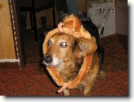 U� m�m zase opici!