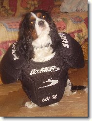 P��prava na ZOH Vancouver 2010 !!!