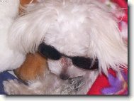 O�ek�v�m l�to!!!