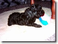 to sem byl jest� malej kluk nosil jsem p�ro ��p a luk ted u� m� fory nebav� myslim na feny toulav���