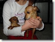 Mi��k a �t���tko