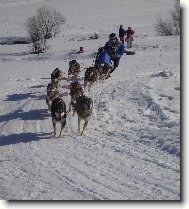 Mistrovstv� Evropy 2007