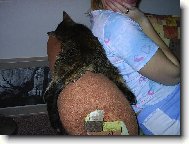 ...maxim�ln� pohodi�ka....