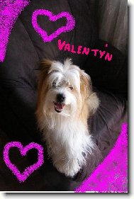 valent�n od Bene�ka