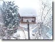 Zima u n�s na zahrad�