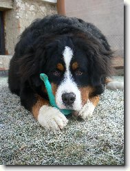 J� jsem malej, ale �ikounej :)