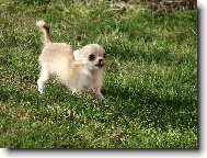 Na�e �ivav� d�tko