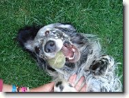 Cheynn z Me��nsk� h�jovny