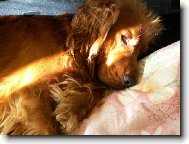 To m�me kr�sn� r�no