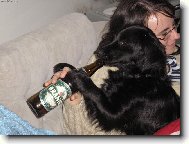 N� Matou� alkoholik