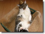 ned�ln� odpo�inek