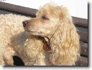 J� slun��ko, to je moje