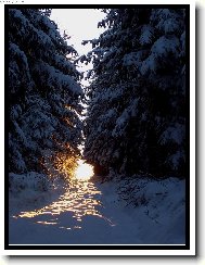 cesta do poh�dky zlatem zdoben�