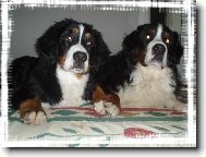 AJ TY VID͌ TO �O JA???