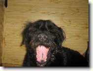 V�echny v�s snim.