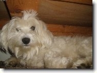 Co m� budite ze sp�nku!!!!!!