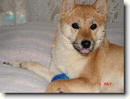 V�echny v�s moc miluj���!!!