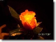 R��e k narozenin�m