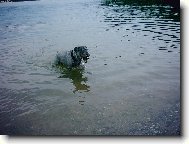 TAk hod� mi ten klacek..........?