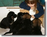 Poh�dka na dobrou noc