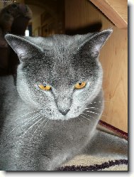 Tak te� usm�v! Jedno foto na pas.