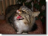 J� a na internetu?No to se mus�m zasm�t :)