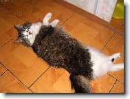 Co na m� tak divn� kouk�te?