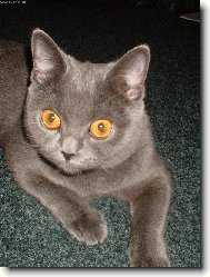 Na�e ���a Deniska