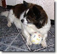 N�jde sa niekto, kto mi t� lopti�ku hod�?