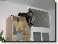 N� Tedy v bezpe�n�m �krytu p�ed d�tmi