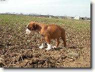 Tak si tu kr���m s�m:o(