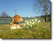 leno��c� Ed�k