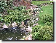 botanick� zahrada v Praze