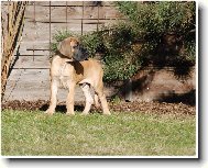 Kr�sn� lednov� den