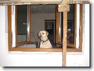 Tak napadne je�t� sn�h???