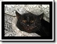 Na�e t�in�ctilet� Micinka