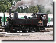 vesel� d�m�n�