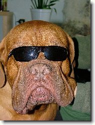 m�m to pod kontrolou