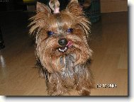 �sm�v pros�m :-))