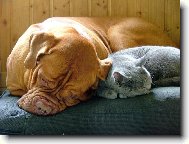 sd�l�me spole�nou postel