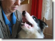 s pani�kou je dob�e