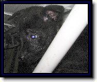 Budou na mne hodn�?