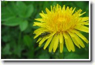 Tady se mi l�b�!!!