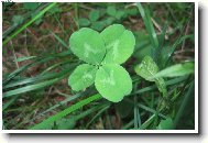 N�co pro �t�st�!!!!!!!