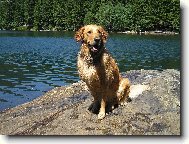 Na�e Milovan� SIndy