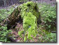 poh�dkov� pa�ez